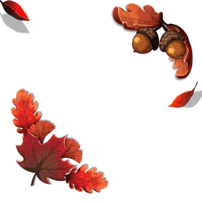 Decoration