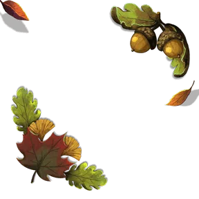 Decoration